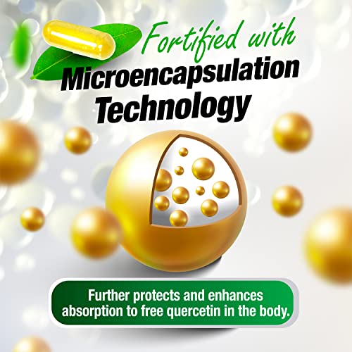 LABO Nutrition Perfect Quercetin SunActive IsoQ Bioflavonoids, 25x More Bioavailable Than Quercetin for Immune, Antioxidant, Allergy and Cardiovascular Support - Helps Improve Anti-Inflammatory - 60s - Lifestream Group US