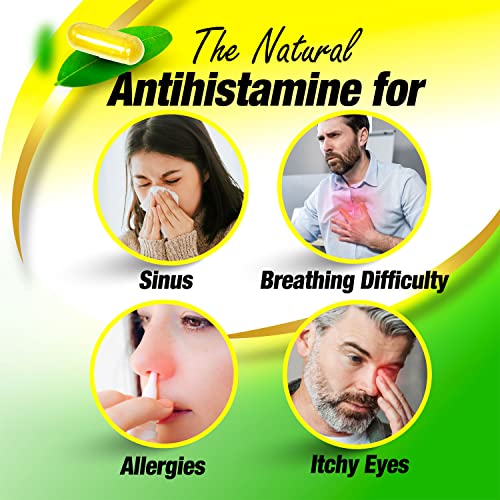 LABO Nutrition Perfect Quercetin SunActive IsoQ Bioflavonoids, 25x More Bioavailable Than Quercetin for Immune, Antioxidant, Allergy and Cardiovascular Support - Helps Improve Anti-Inflammatory - 60s - Lifestream Group US