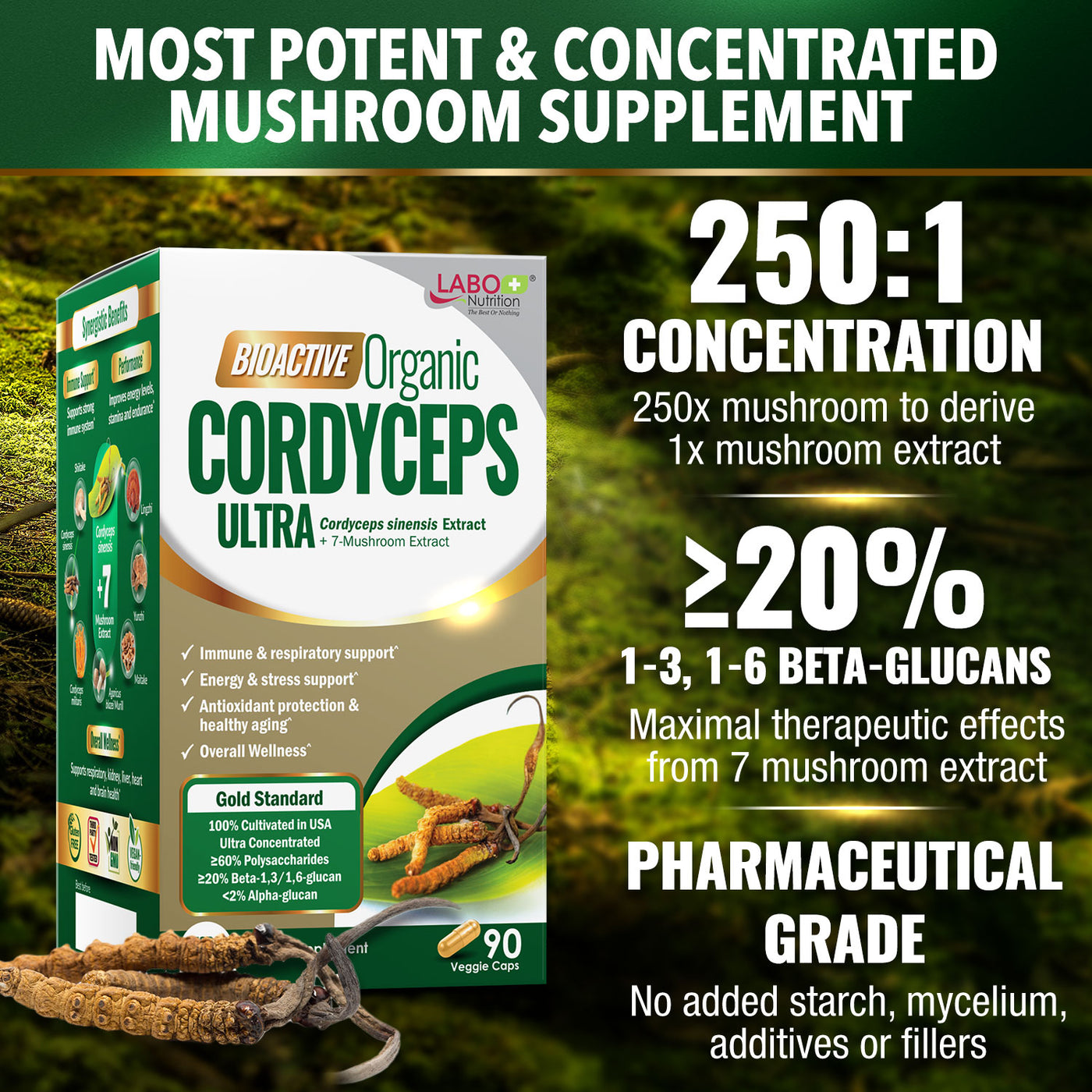 LABO Nutrition Bioactive Organic Cordyceps Ultra – 8 Medicinal Mushroom Supplement, for Immunity, Energy, Stamina, No Fillers - Lifestream Group US