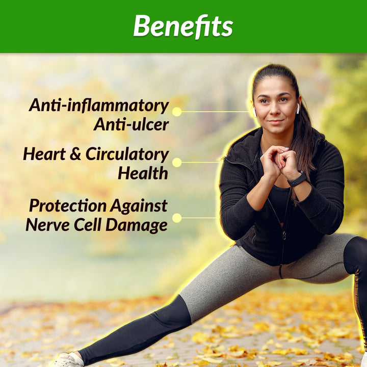 AFC Japan Brazilian Green Propolis Extract – Highest Artepilin C (>2.8%) &amp; Flavonoids (>17mg/ml), Premium Quality, for Immune Booster, Tincture - Lifestream Group US
