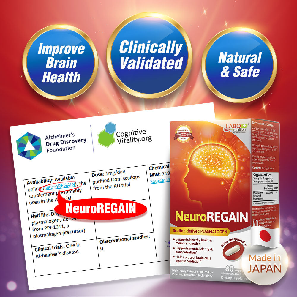 LABO Nutrition NeuroREGAIN - Scallop-derived PLASMALOGEN for Brain Deterioration, Memory, Alertness, Learning, Concentration – Suitable for Seniors - Lifestream Group US